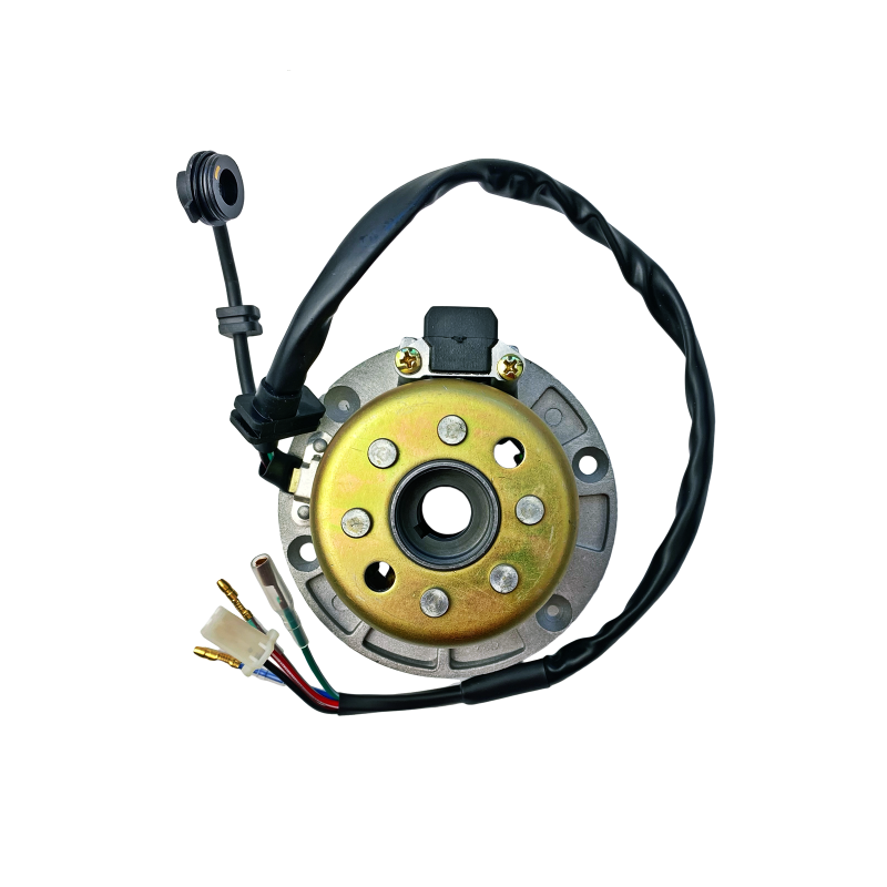 CEWKI ISKROWNIKA (STATOR) + KOŁO MAGNESOWE SILNIK ZS154FMI-2 CEWKI ISKROWNIKA (STATOR) + KOŁO MAGNESOWE SILNIK ZS154FMI-2