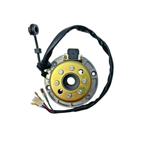 CEWKI ISKROWNIKA (STATOR) + KOŁO MAGNESOWE SILNIK ZS154FMI-2