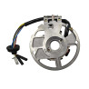 CEWKI ISKROWNIKA (STATOR) 7-ZWOJOWE 2T QUANTUM , BARTON