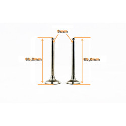 ZAWÓR SSĄCY I WYDECHOWY 80CCM 4T 139QMB