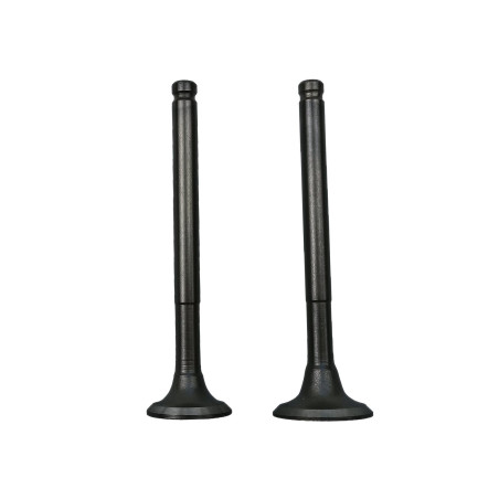 ZAWÓR SSĄCY I WYDECHOWY 50CCM 4T 139QMB