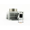 CYLINDER 4T GY6 60CCM (44mm) (sw.13mm) KPL.- ANH