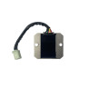 REGULATOR NAPIĘCIA Z PRZEWODEM 2T- QUANTUM- ANH