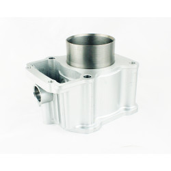 CYLINDER + GŁOWICA KPL.  ATV 250CCM (67mm) - CIECZ