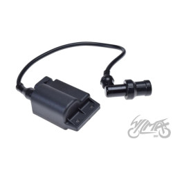 CEWKA Z MODUŁEM DO PIAGGIO ZIP 4T ODBLOKOW