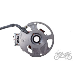 STATOR 7 CEWEK DO MINARELLI POZIOMY