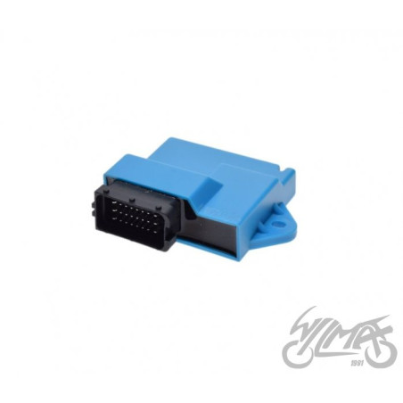 ECU STEROWNIK SILNIKA DO Beta RR 50 E4