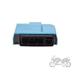 ECU STEROWNIK SILNIKA DO PIAGGIO LIBERTY S 50 E4