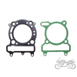 USZCZELKA CYLINDER DO YAMAHA XMAX  MAJESTY 69 MM