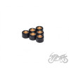 ROLKI WARIATORA 17X12 10G DO SUZUKI
