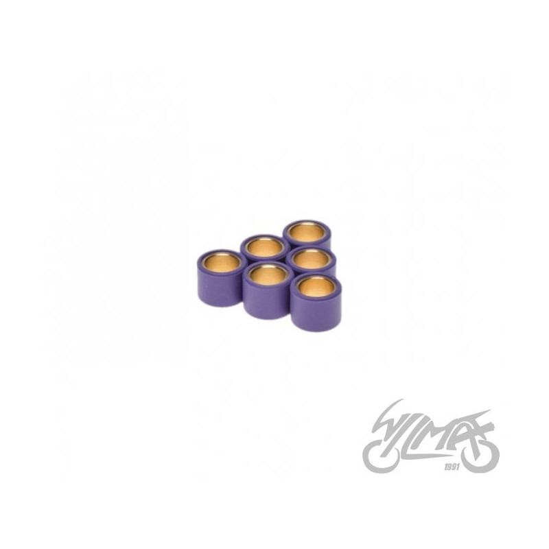 ROLKI WARIATORA 17X13,5 8,0G DO TGB