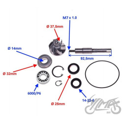POMPA CIECZY DO HONDA SH CHIOCCIOLA 125/150