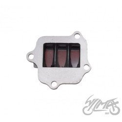 MEMBRANA DO YAMAHA CY80