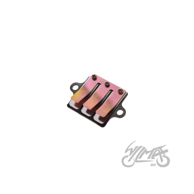 MEMBRANA DO SUZUKI AX100