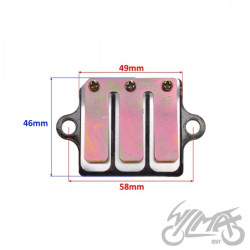 MEMBRANA DO SUZUKI AX100