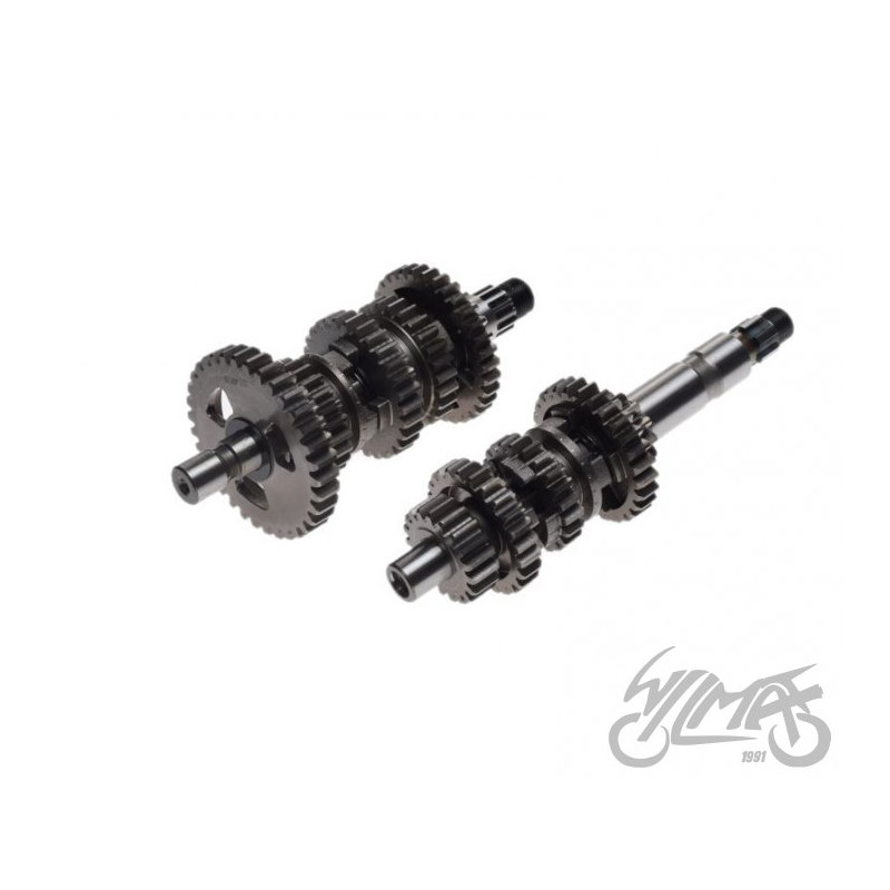SKRZYNIA BIEGÓW DO ATV BASHAN BS250S-5 KPL