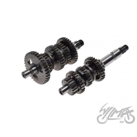 SKRZYNIA BIEGÓW DO ATV BASHAN BS250S-5 KPL