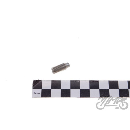 ŚRUBA REGULACJI SPRZĘGŁA MZ150