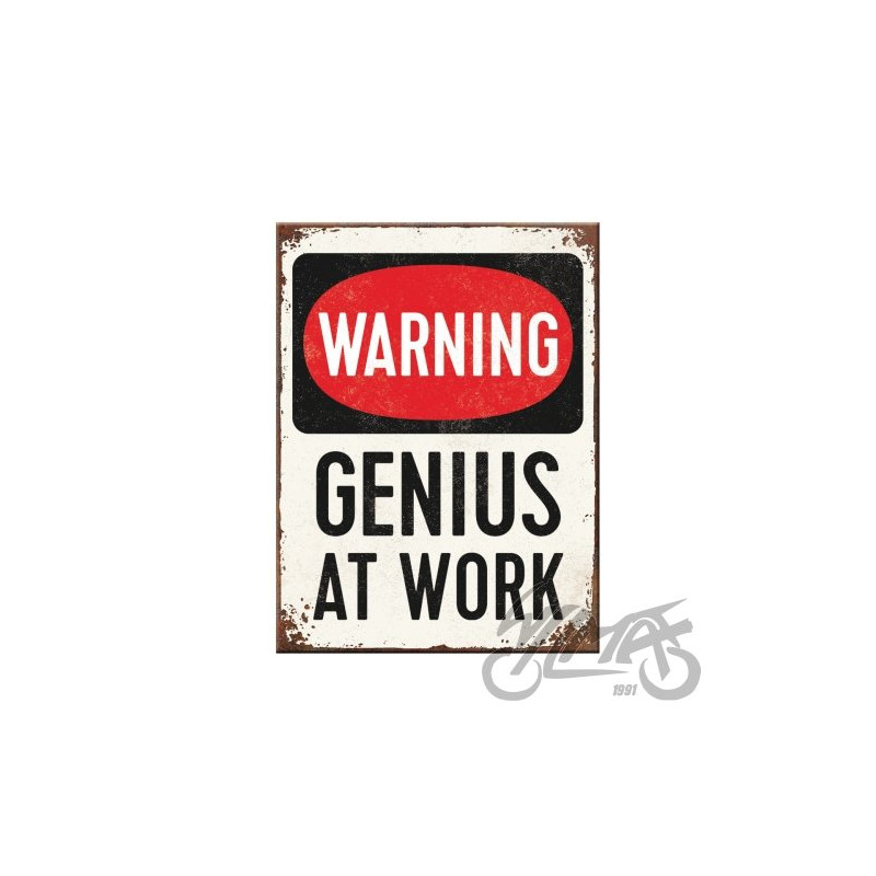 MAGNES GENIUS AT WORK 14352