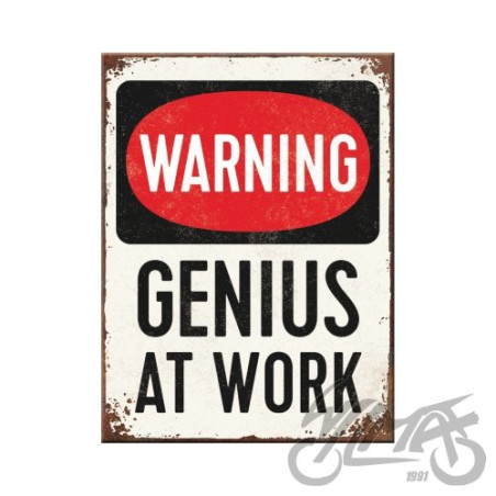MAGNES GENIUS AT WORK 14352