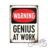 MAGNES GENIUS AT WORK 14352