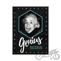 MAGNES EINSTEIN GENIUS MATERIAL14395