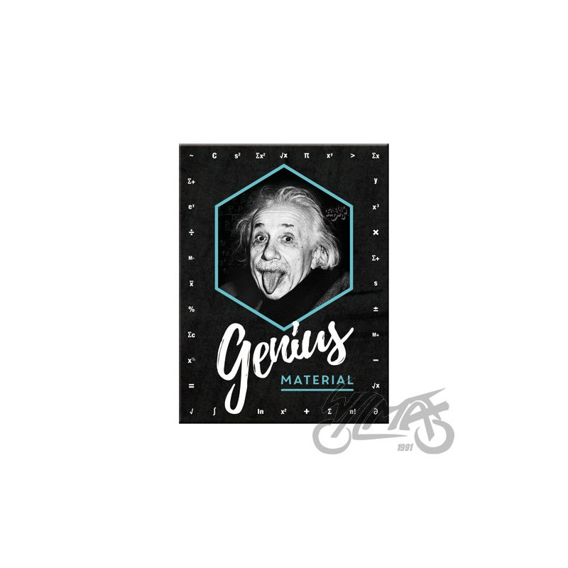 MAGNES EINSTEIN GENIUS MATERIAL14395