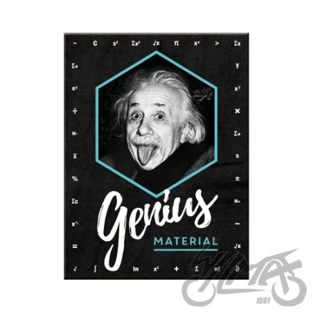 MAGNES EINSTEIN GENIUS MATERIAL14395
