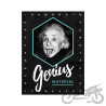 MAGNES EINSTEIN GENIUS MATERIAL14395