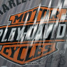 TABLICA PLAKAT 30X40 HARLEY-DAVIDSON 23250
