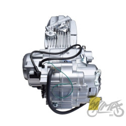 SILNIK ZONGSHEN DT190 KPL