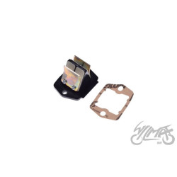 MEMBRANA DO PIAGGIO ZIP 2T