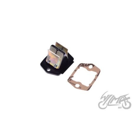 MEMBRANA DO PIAGGIO ZIP 2T