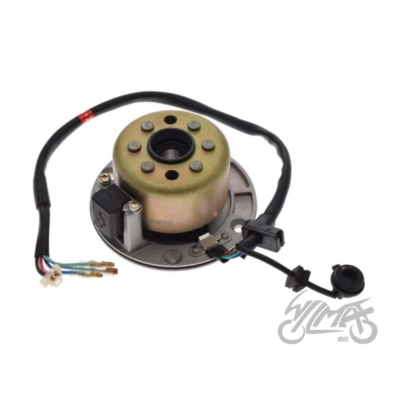 STATOR ISKROWNIK + KOŁO MAGNESOW SILNIK ZS154FMI-2