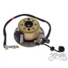 STATOR ISKROWNIK + KOŁO MAGNESOW SILNIK ZS154FMI-2