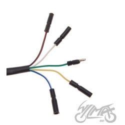 STATOR ISKROWNIK 2 CEWKI MINI ENDURO 125 CC 4T