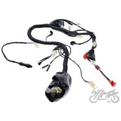 INSTALACJA ELEKTRYCZNA ATV 250 ST-9E