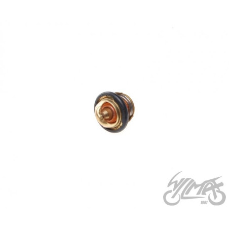 TERMOSTAT DO SHINERAY ATV250 ST-9C