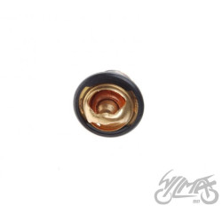 TERMOSTAT DO SHINERAY ATV250 ST-9C