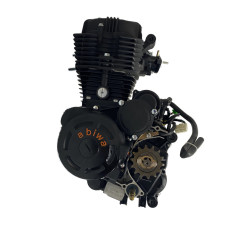 SILNIK CG 250 CCM 167FMM - PIONOWY MANUAL 5 BIEGÓW