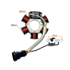 CEWKI ISKROWNIKA (STATOR) 6-ZWOJOWE (1 nieuzwojona) PIAGGIO ZIP 2T
