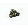 ROLKI WARIATORA 17X13 5,5G TGB